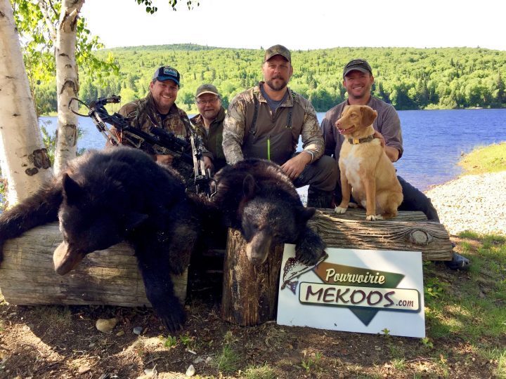 La chasse à l’ours : encore deux semaines de succès au Mekoos