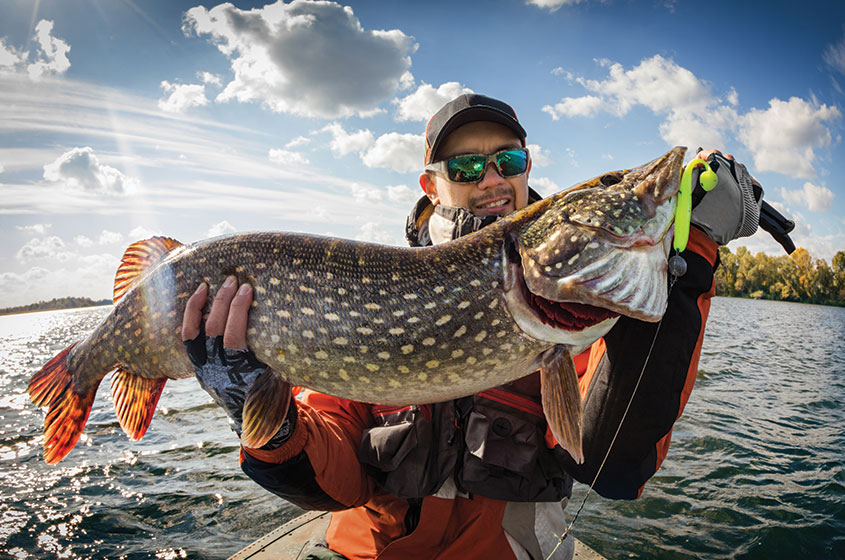 fish-large-pike