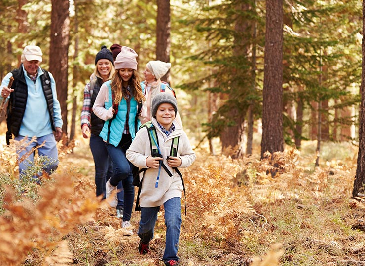 La randonnée en forêt, l’activité anti Covid par excellence!