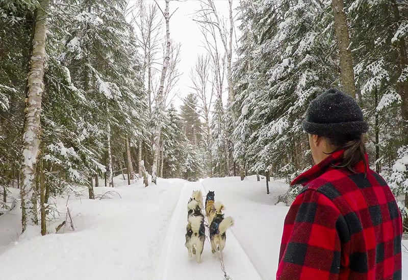 Pourvoirie Mekoos - Journée unique en traineau à chien